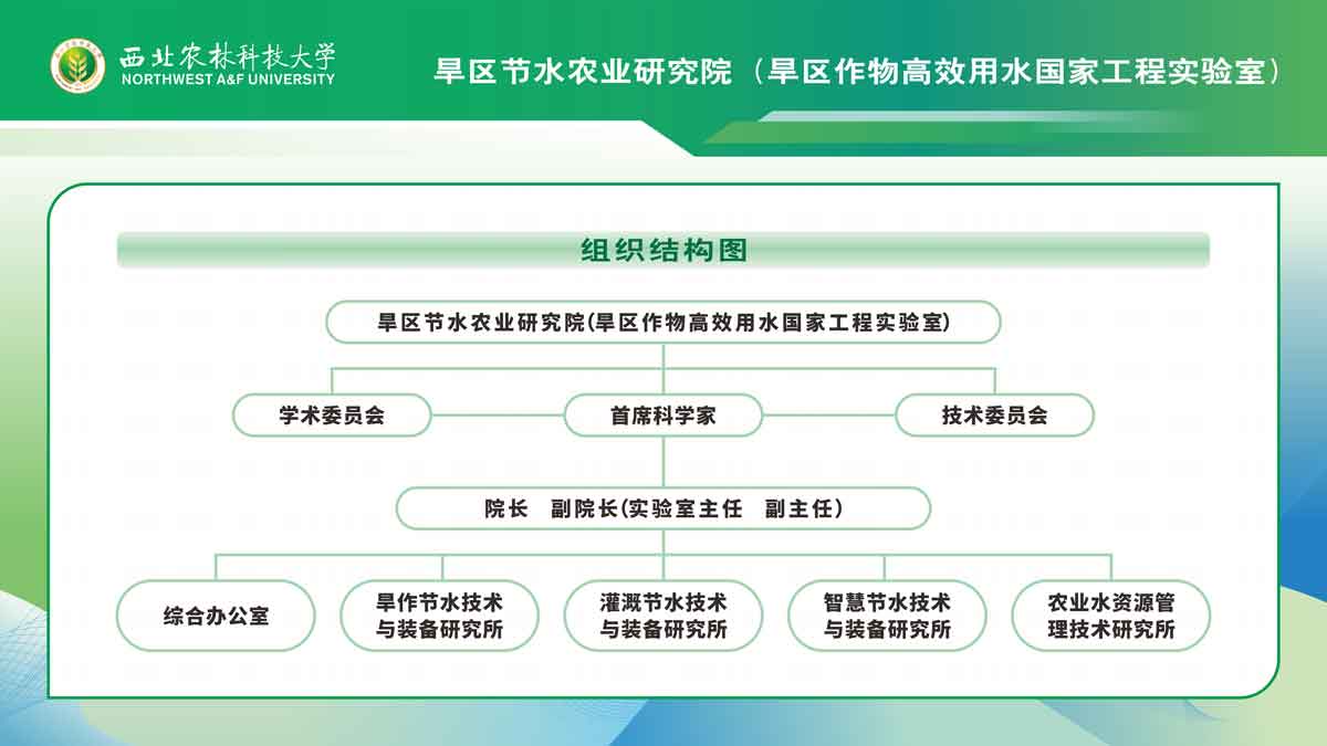 组织结构图3.jpg